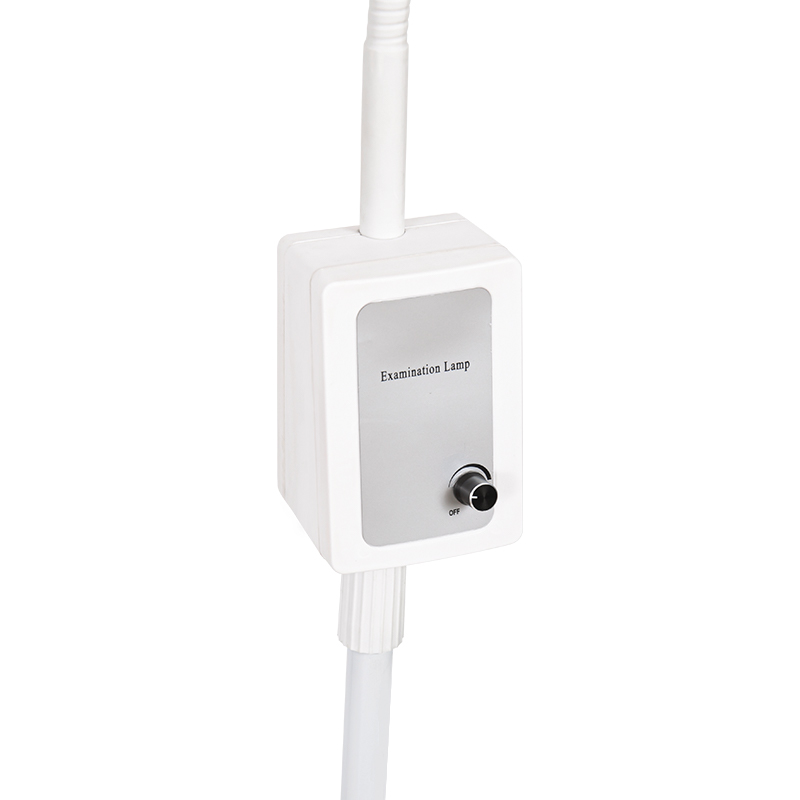 3-W-LED-Schwanenhals-Untersuchungslampe mit integrierter Backup-Batterie